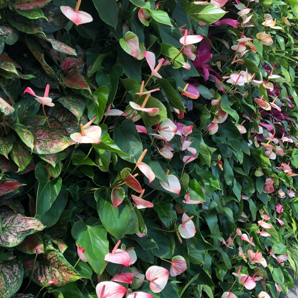 Meet your Posher, Enchanted